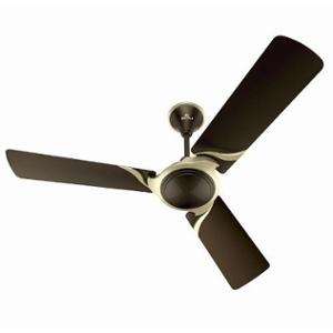 Shop Ceiling Fans Online At The Lowest Price Moglix Com