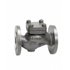 Sant 1 Inch Cast Iron Horizontal Check Valve, CI 3A