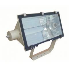 C&S 2X250W HPSV-T/MH-T Flood Light, LTFN002