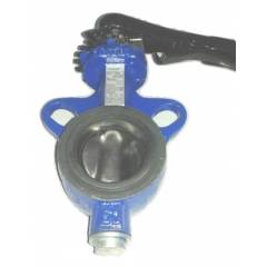 Kranti Cast Iron Butterfly Valve, MTC-34, Size: 65 mm