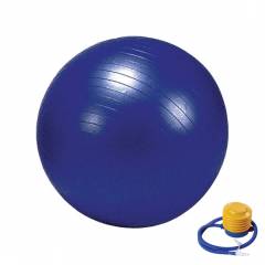 Prokyde SeG-Prkyd-37 55cm Blue Gym Ball