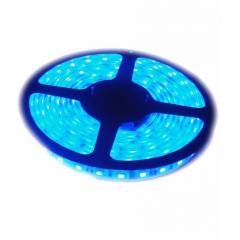 RYNA LED Strip Light Blue Colour with LED Driver-5m (Non/Without Water Proof) (Pack of 1)
