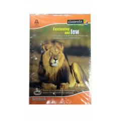 Classmate 144 Pages Notebooks, Weight: 600 g (Pack of 6)
