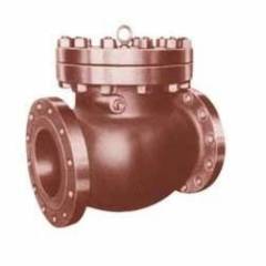 WJ Bronze Horizontal Lift Check Valves, Bolted Cover, 50 mm