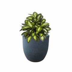 Fox B 12 Inch Round Grey German Polymer Planter, FOX-PCUP-12-G