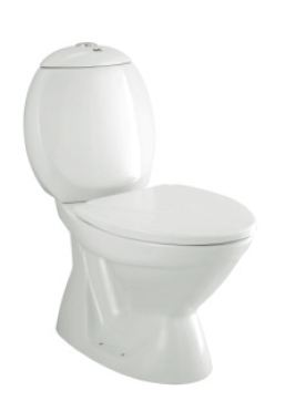 Buy Parryware Cascade Nxt Floor Mounted Coupled Closet Colour