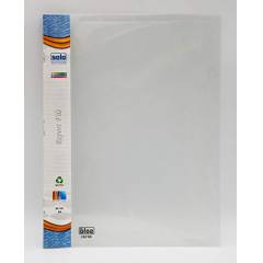 Solo Report File (Transparent Top), RF102, Size: A4 (Pack of 10)