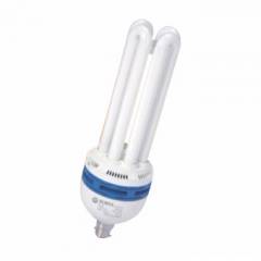 Surya 32W 6500K B-22 EL Ecosmart 4U T4 Range CFL