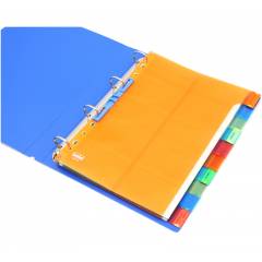 Solo 10 Pieces A4 Separator/Divider Set, SP110 (Pack of 10)