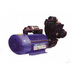 Tanishka 1HP Big Self Priming Mono Block Pump