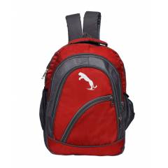 Lapaya BG16RED Universal Bag, Height: 20 Inch