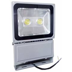 EGK 100W Double Lens Cool White LED Flood Light with Free Urja Lite 4 Pieces 7W LED Bulb