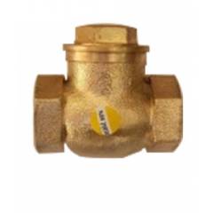 Navjyoti 25mm Non Return Valve
