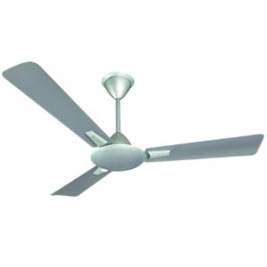 Shop Ceiling Fans Online At The Lowest Price Moglix Com