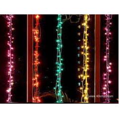 Evergreen 5m Multicolor Diwali LED Rice Light (Pack of 2)