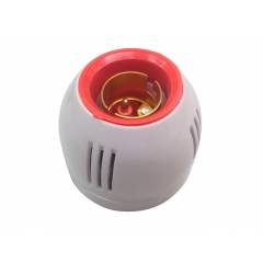 Paras Big Base Bulb Holder (Pack of 20)