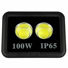 Jayco 100W Cool White COB Flood Light, SES100CFL