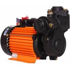 Usha 2557 1HP Self Primping Water Pump