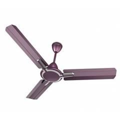 Standard Cruiser Premium Deco Mauve 55W Ceiling Fan, Sweep: 1200 mm