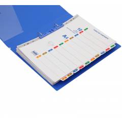 Solo 10 Pieces A4 Separator Set with Index, SP510 (Pack of 10)