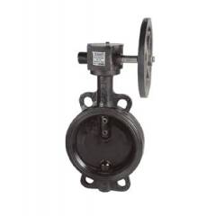 Sant 1.5 Inch Cast Iron Butterfly Valve, CR 21A