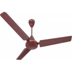 Havells Pacer 900mm Brown Ceiling Fan