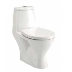 Parryware Emperor Single Piece Suite Water Closet, Colour: Neutral