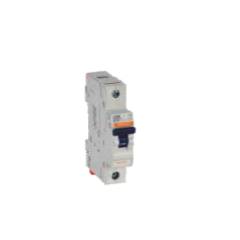 C&S Wintrip 2 C Type Higher Rating SP MCB CSMBS1C63 (Pack of 4)
