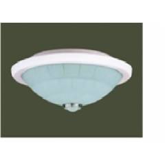 Smart Sense 12W Cool White LED Ceiling Lamp With PIR Sensor, SAL 434