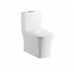 Saniqua Floor Mounted One Piece Toilet, SAN 007, Size: 220 mm