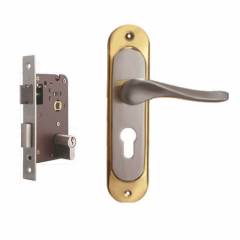 Plaza Audi Gold Silver Finish Handle with 200mm Pin Cylinder Mortice Lock & 3 Keys