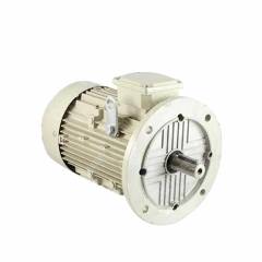 Bharat Bijlee 15HP 6 Pole Squirrel Cage Induction Motor, 2J16L673