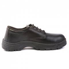 Nova Safe Safari Steel Toe Black Safety Shoes, Size: 6 (Pack of 24)