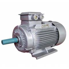 Bharat Bijlee 12.5HP 2 Pole Foot Mounting Induction Motor, 2H16M233