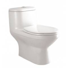 Parryware Sofia Single Piece Suite Water Closet, C841D, Colour: White