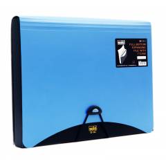 Solo Delux Clip File, DC111, Size: F/C (Pack of 10)