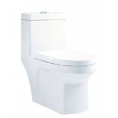 Parryware Stanza Single Piece Suite Water Closet, C847I, Colour: White