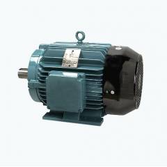 Crompton Greaves EFF. Level 2 Foot Mounted AC Motor-8 Pole, Power: 200 HP, 750 rpm