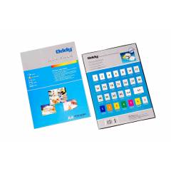 Oddy A4-Size Paper Labels For Copiers, Laser And Inkjet, ST-6 A4100 (Pack of 2)