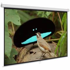 Punnkk I6 84 Inch instalock Manual Projector Screen, Size: 6x4 ft