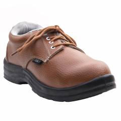 Polo Derby Steel Toe Brown Safety Shoes, Size: 6