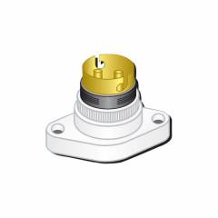 Cornetto PC Non Modular Burfi Holder, 1031 (Pack of 20)