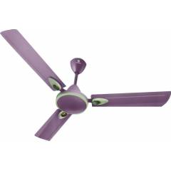 Standard Rover Premium Deco Mauve Ceiling Fan, Sweep: 1200 mm