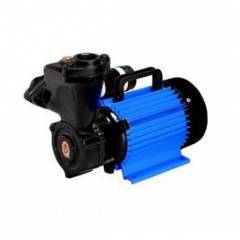 CRI 1 HP Domestic Water Pump, Royale100