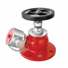 Palex Landing Valve SS Type