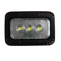 Grenoble 50W Cruizer Flood Light, CFL50W