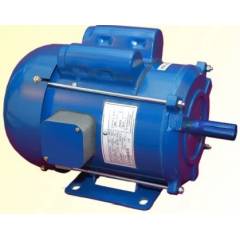 Crompton 2 HP 4 Pole Single Phase Foot Mounted Induction Motor, GF 6564