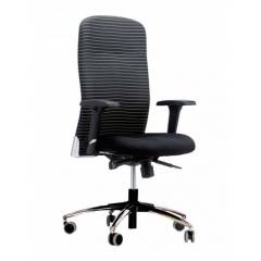 Bluebell Ergonomics Equss High Back Chair, BB-EQ-01-A