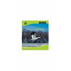 Classmate A4 Size 360 Pages Hard Bound Notebooks (Pack of 4)