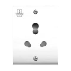 Anchor Penta Capton 20A/10A S.S Combined Unit with 2 Fixing, 39999